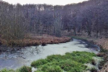 lago Paolet